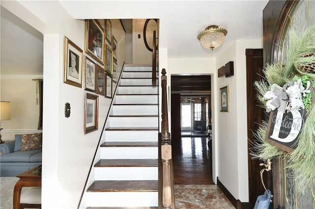 stairway with dark hardwood / wood-style flooring