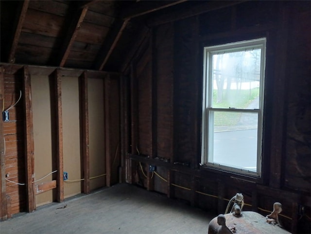 interior space featuring lofted ceiling