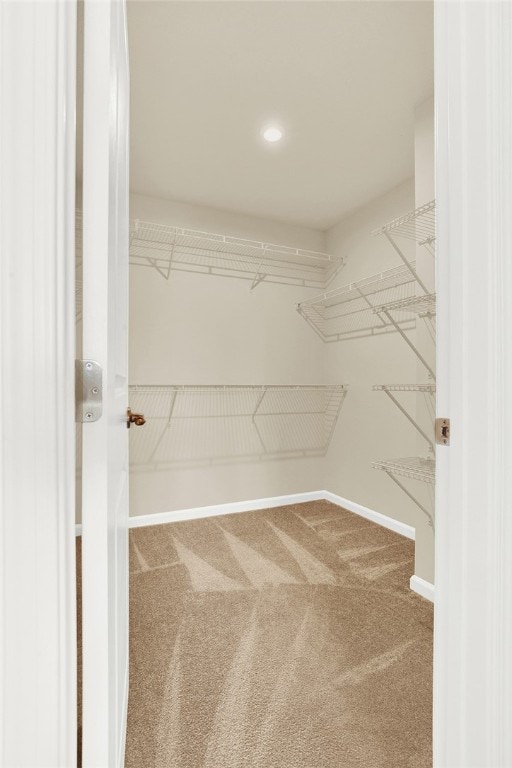 walk in closet featuring carpet flooring