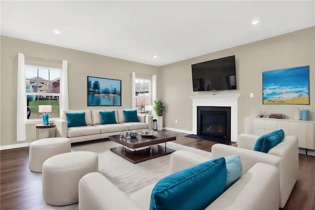 living room with dark hardwood / wood-style flooring