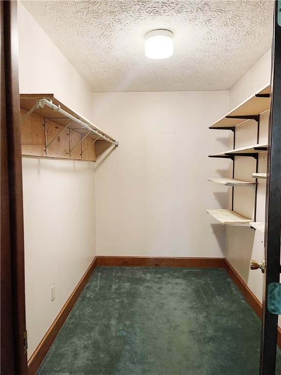 spacious closet with dark carpet