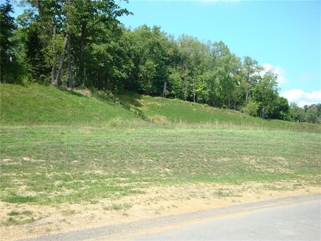 view of local wilderness