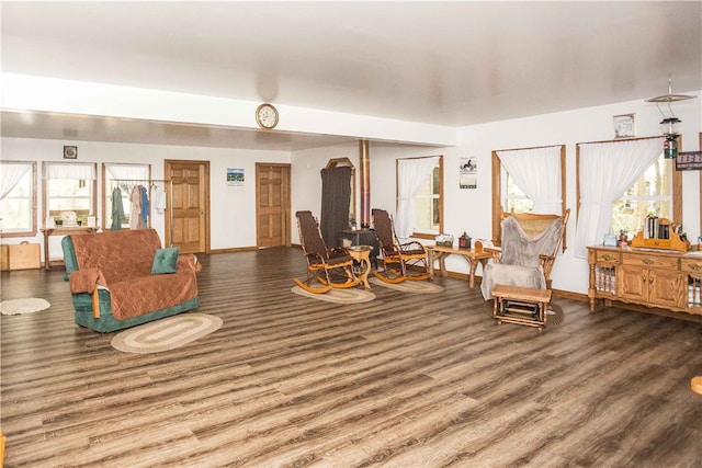 living room featuring hardwood / wood-style floors