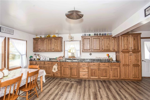 kitchen with dark stone counters, dark hardwood / wood-style floors, and sink