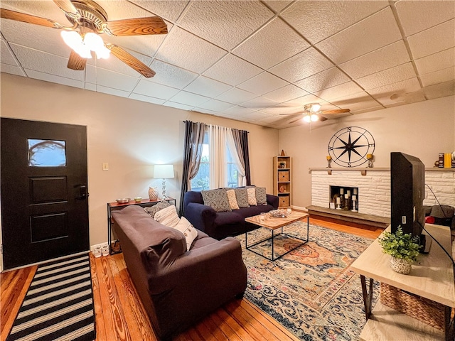 living room featuring ceiling fan, a drop ceiling, and hardwood / wood-style floors