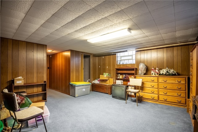 sitting room with light colored carpet and wood walls