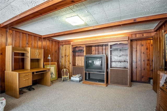 interior space featuring wooden walls, light carpet, and built in shelves