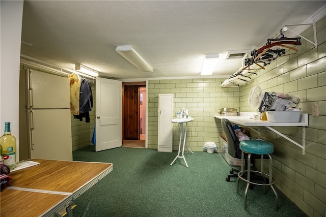 basement featuring dark carpet, a textured ceiling, and white fridge