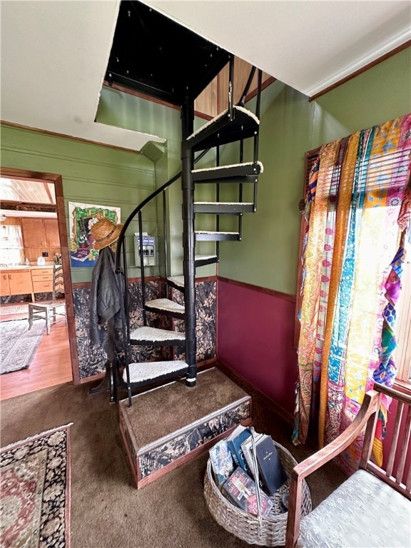 stairs with carpet flooring