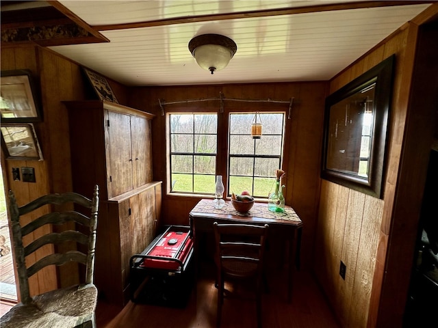 dining space with wood walls and plenty of natural light