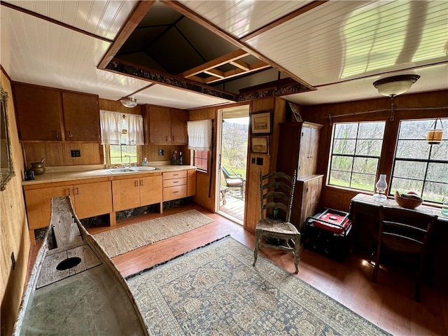 kitchen featuring wooden walls, sink, a healthy amount of sunlight, and hardwood / wood-style floors