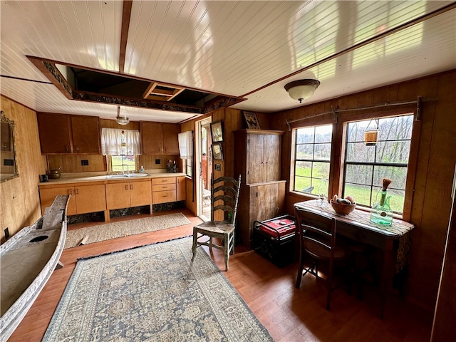 interior space featuring wooden walls, sink, and dark wood-type flooring