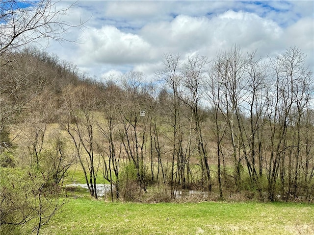 view of local wilderness