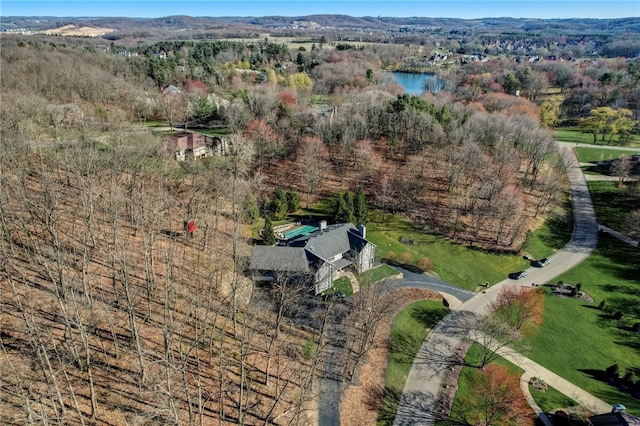 view of birds eye view of property