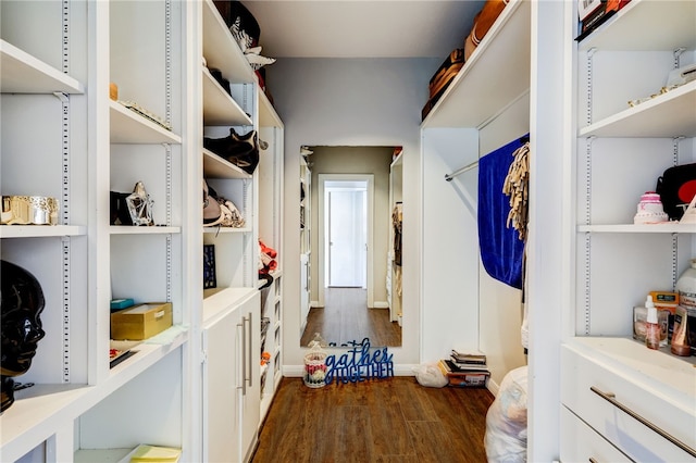 walk in closet with dark hardwood / wood-style floors