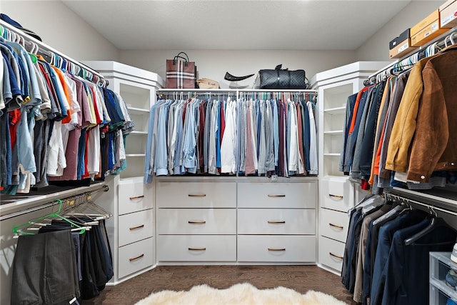 spacious closet featuring dark wood-type flooring