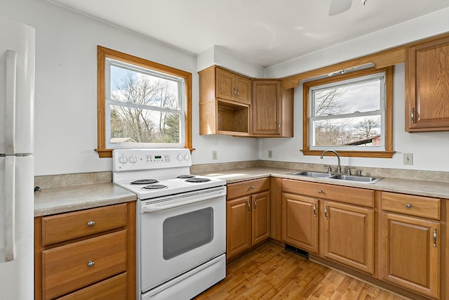 kitchen with plenty of natural light, light hardwood / wood-style floors, white appliances, and sink