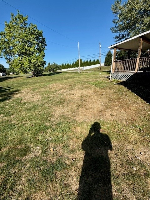 view of yard