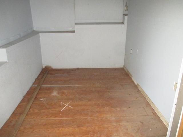 spacious closet with light wood-type flooring