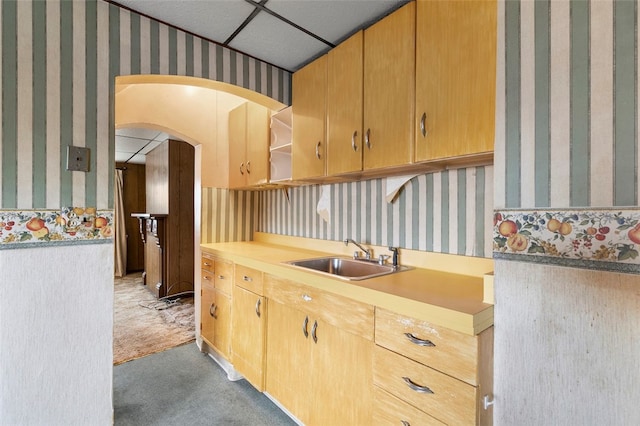 kitchen featuring sink and dark colored carpet