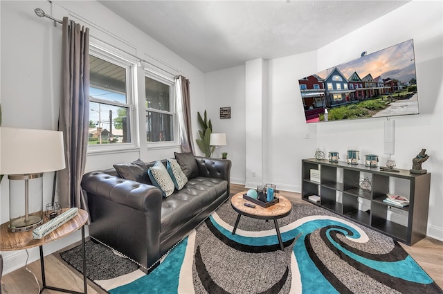 living room with light hardwood / wood-style flooring