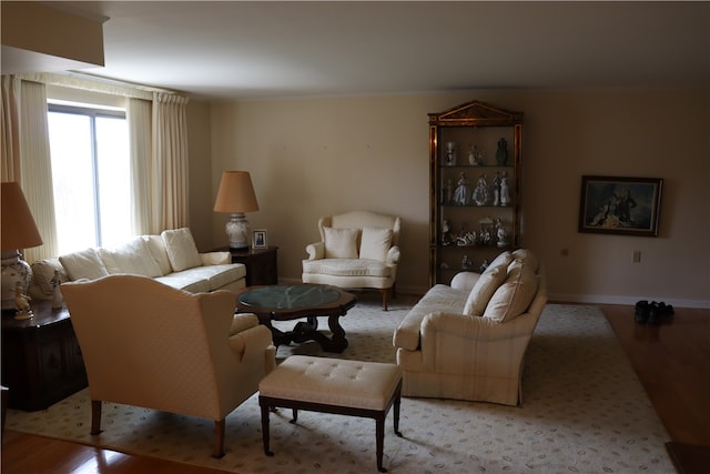 living room with hardwood / wood-style flooring