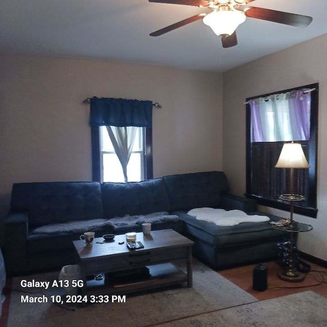 living room featuring wood-type flooring and ceiling fan