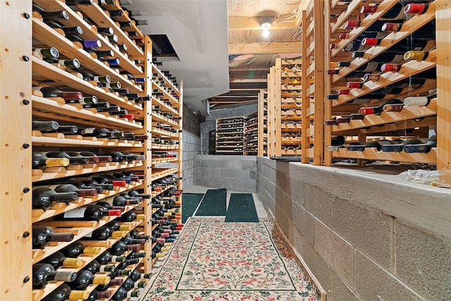 view of wine cellar