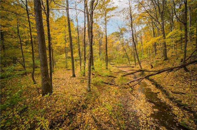 view of mother earth's splendor