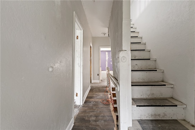 staircase with dark hardwood / wood-style floors