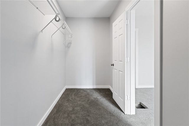 walk in closet featuring carpet