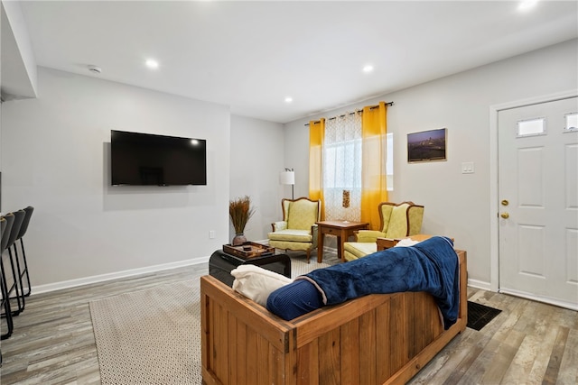 living room featuring light hardwood / wood-style flooring