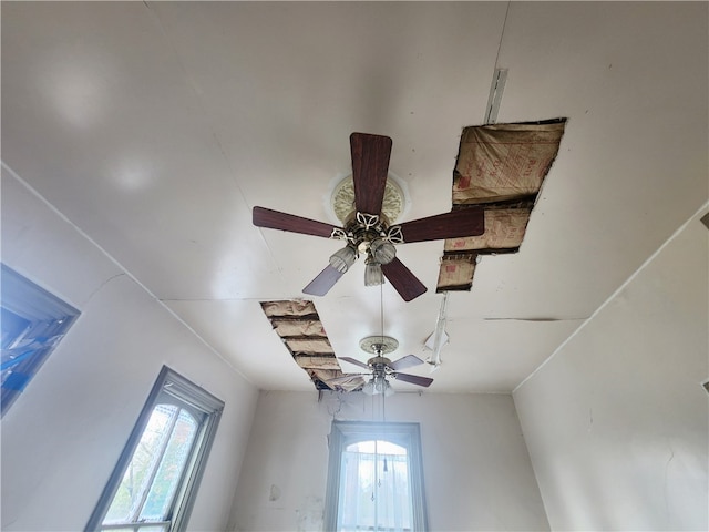 details featuring ceiling fan