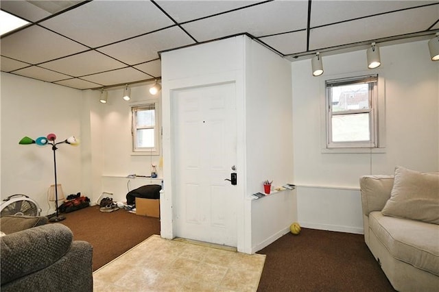 interior space with a healthy amount of sunlight, carpet flooring, and track lighting