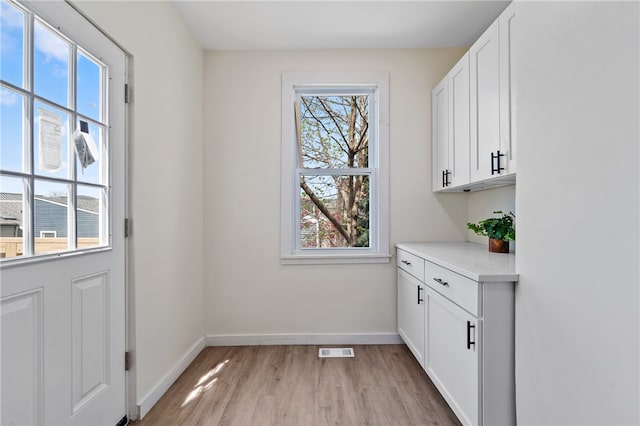 interior space with light hardwood / wood-style flooring and a healthy amount of sunlight