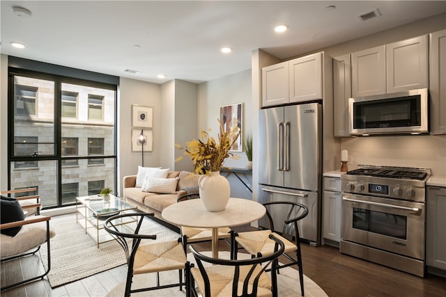 kitchen with a wealth of natural light, dark wood-type flooring, and high quality appliances