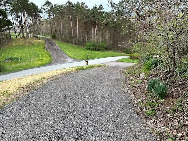 view of road