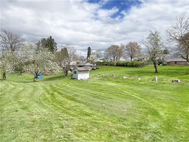 view of yard featuring a storage shed