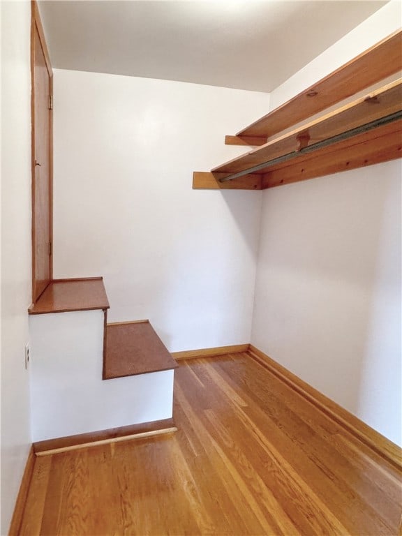 walk in closet featuring light wood-type flooring