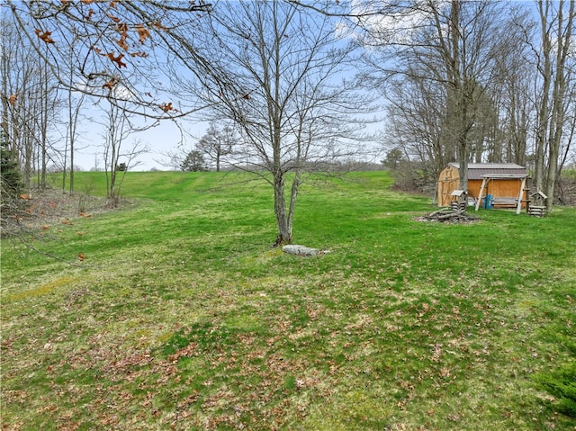 view of yard featuring a storage unit and a rural view