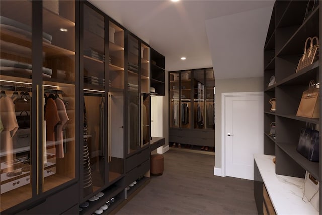 spacious closet with dark wood-type flooring