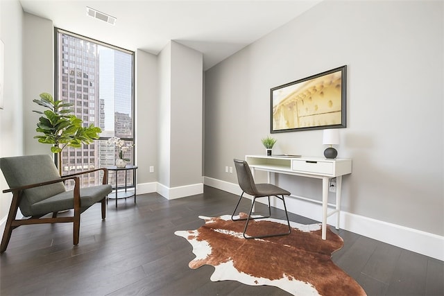 office featuring dark hardwood / wood-style floors