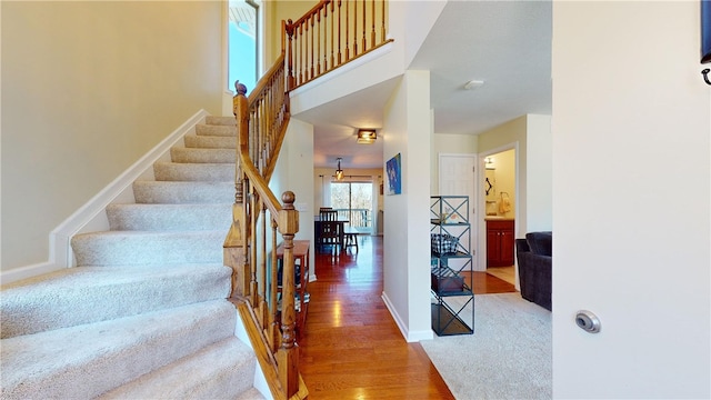 stairs with hardwood / wood-style flooring