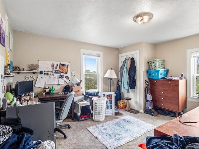 carpeted home office featuring a wealth of natural light and a textured ceiling