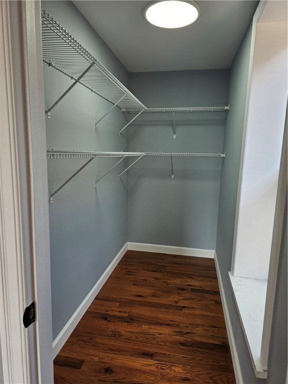 spacious closet featuring dark wood-type flooring