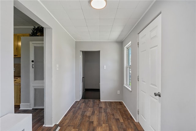 hallway with dark wood-type flooring and crown molding