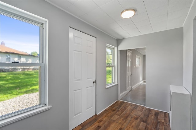 foyer with dark wood-type flooring and plenty of natural light