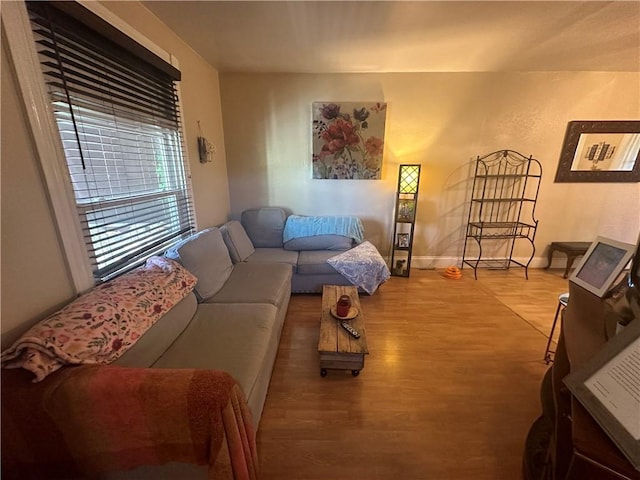 living room with wood-type flooring