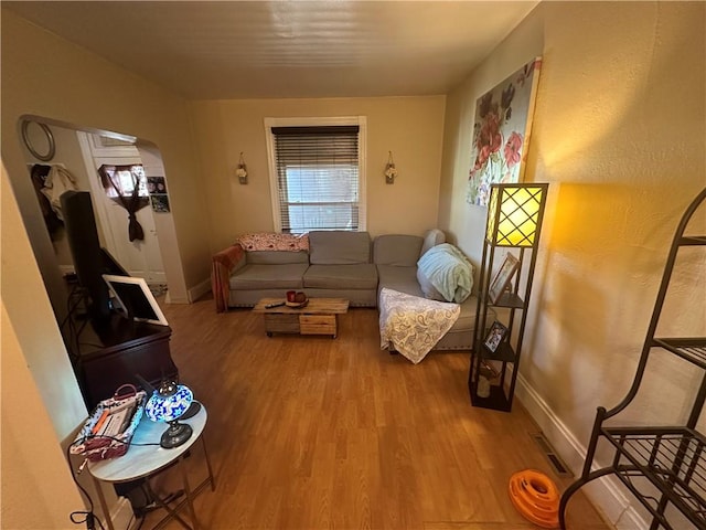 living room with hardwood / wood-style floors