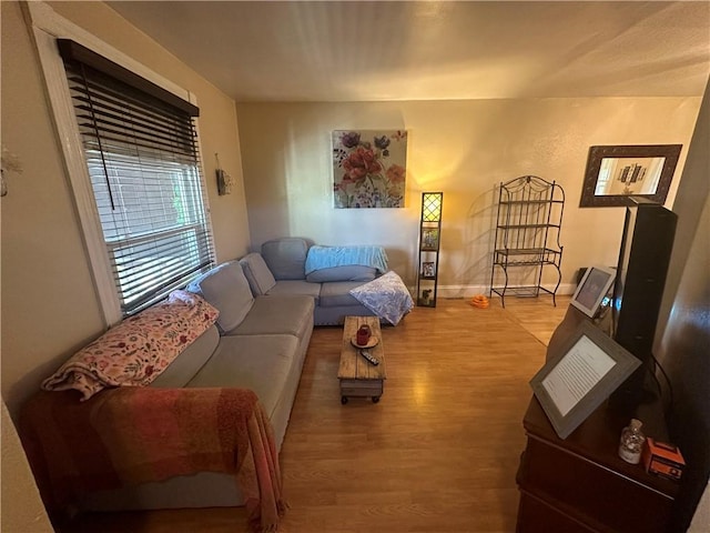 living room featuring hardwood / wood-style floors